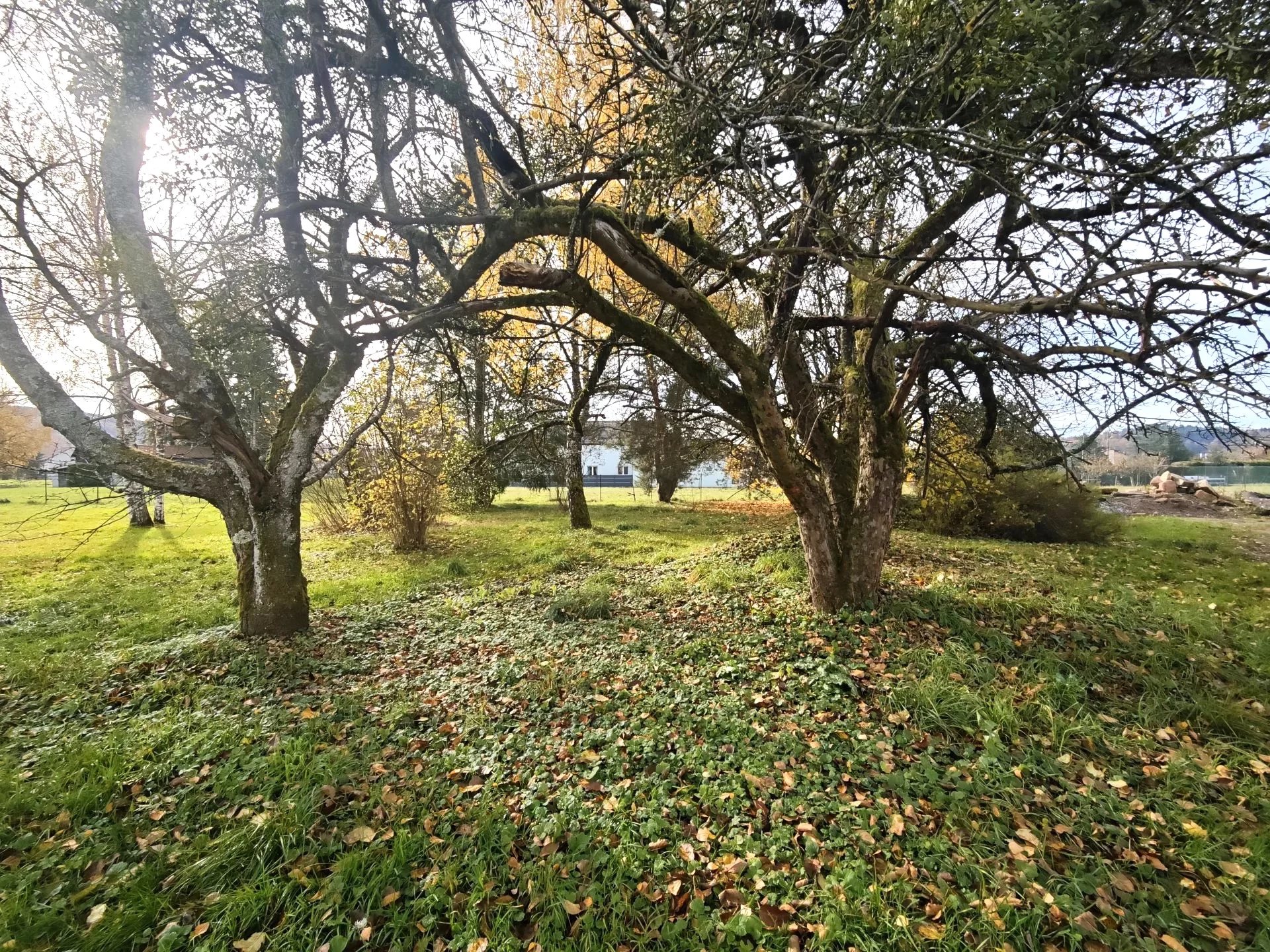 Agence immobilière de Nat'Immobilier