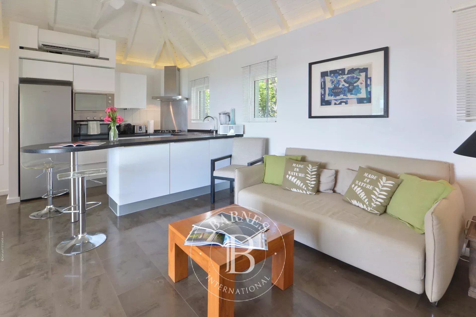 Saint-Barthélemy  - Villa 1 Chambre - picture 12