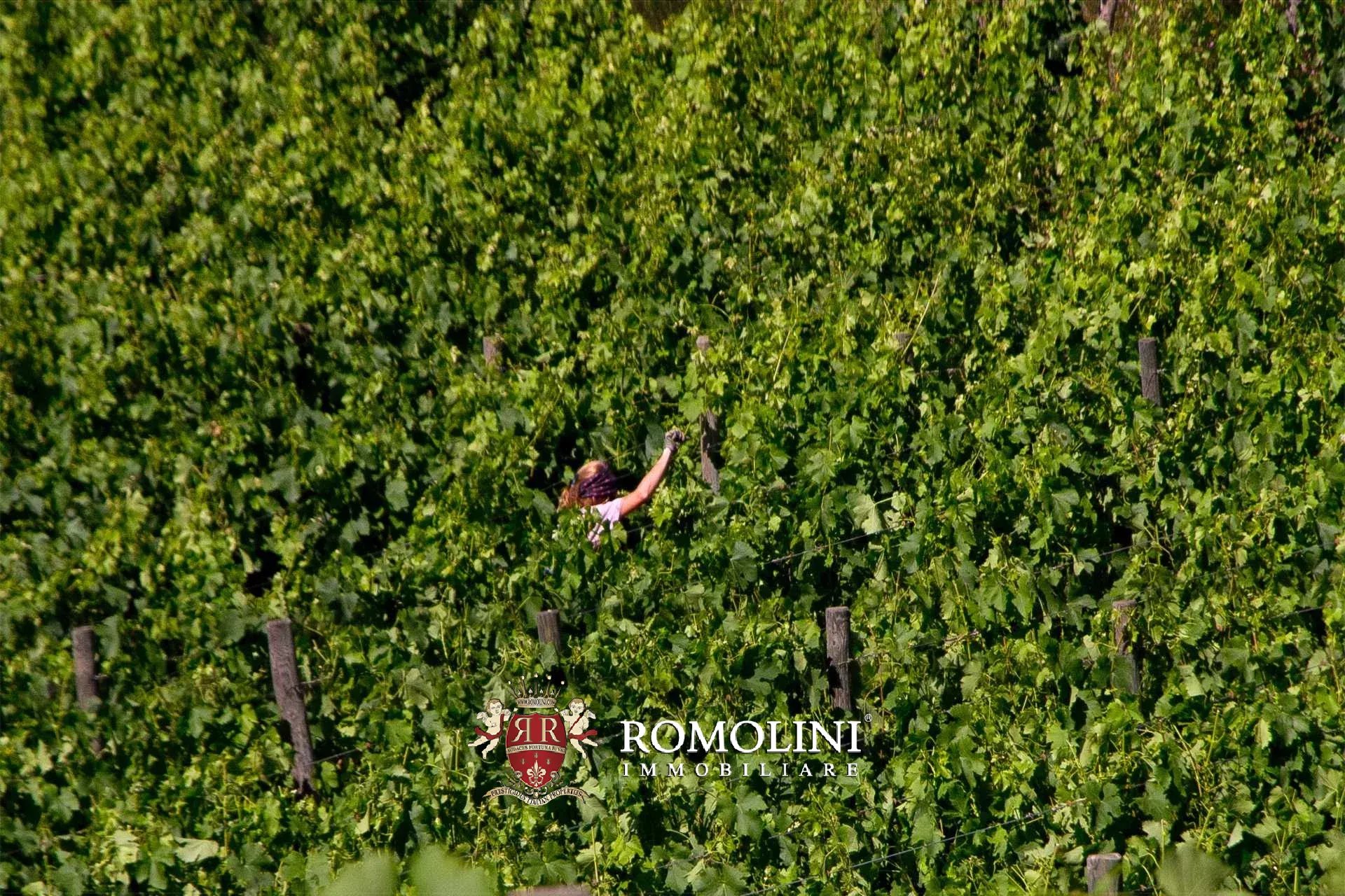 3 Bedroom Vineyard's Image 17