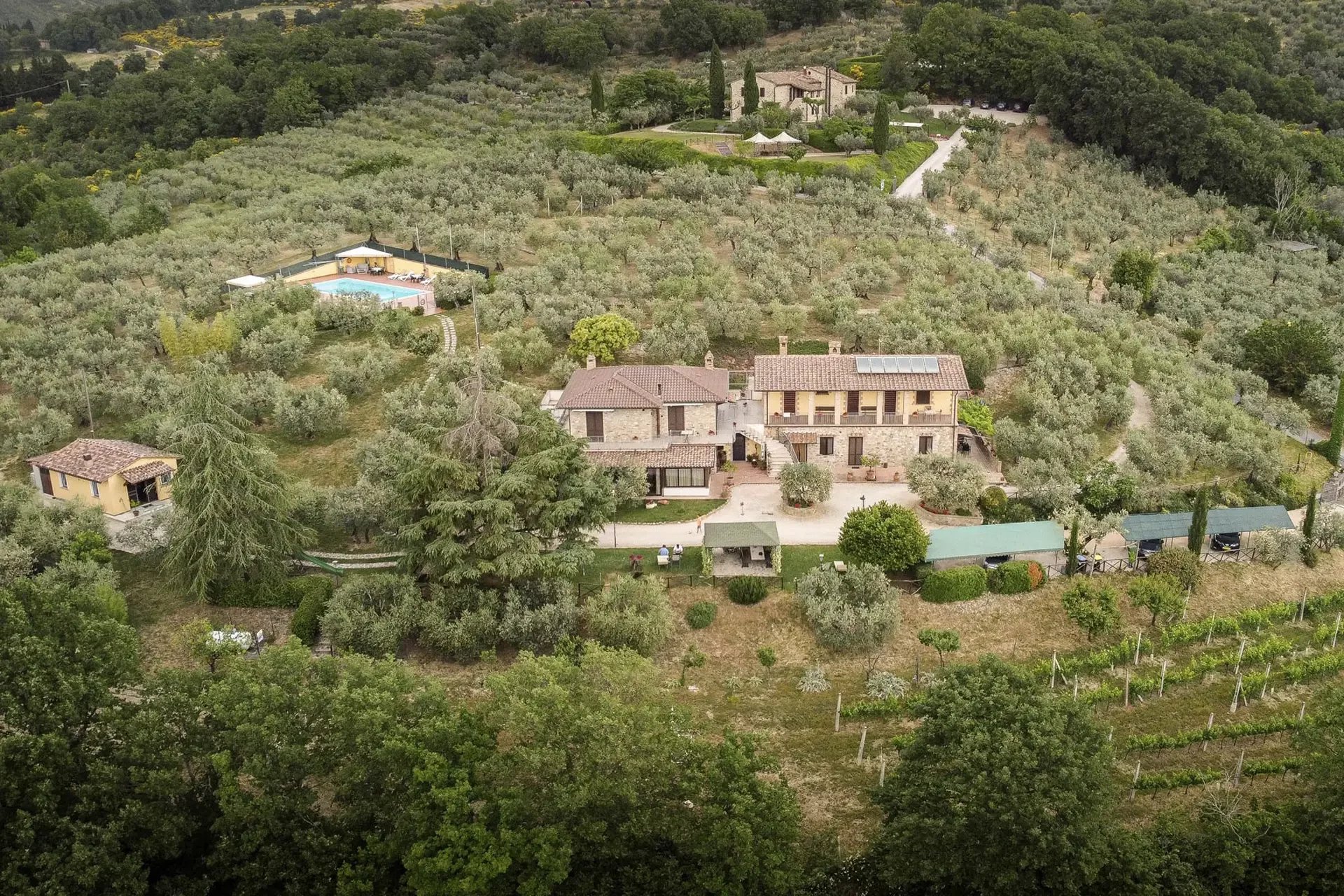  VILLA MODERNA CON PISCINA E OLIVETO IN VENDITA AD ASSISI, UMBRIA