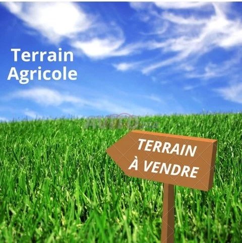 Terrain agricole en vente.