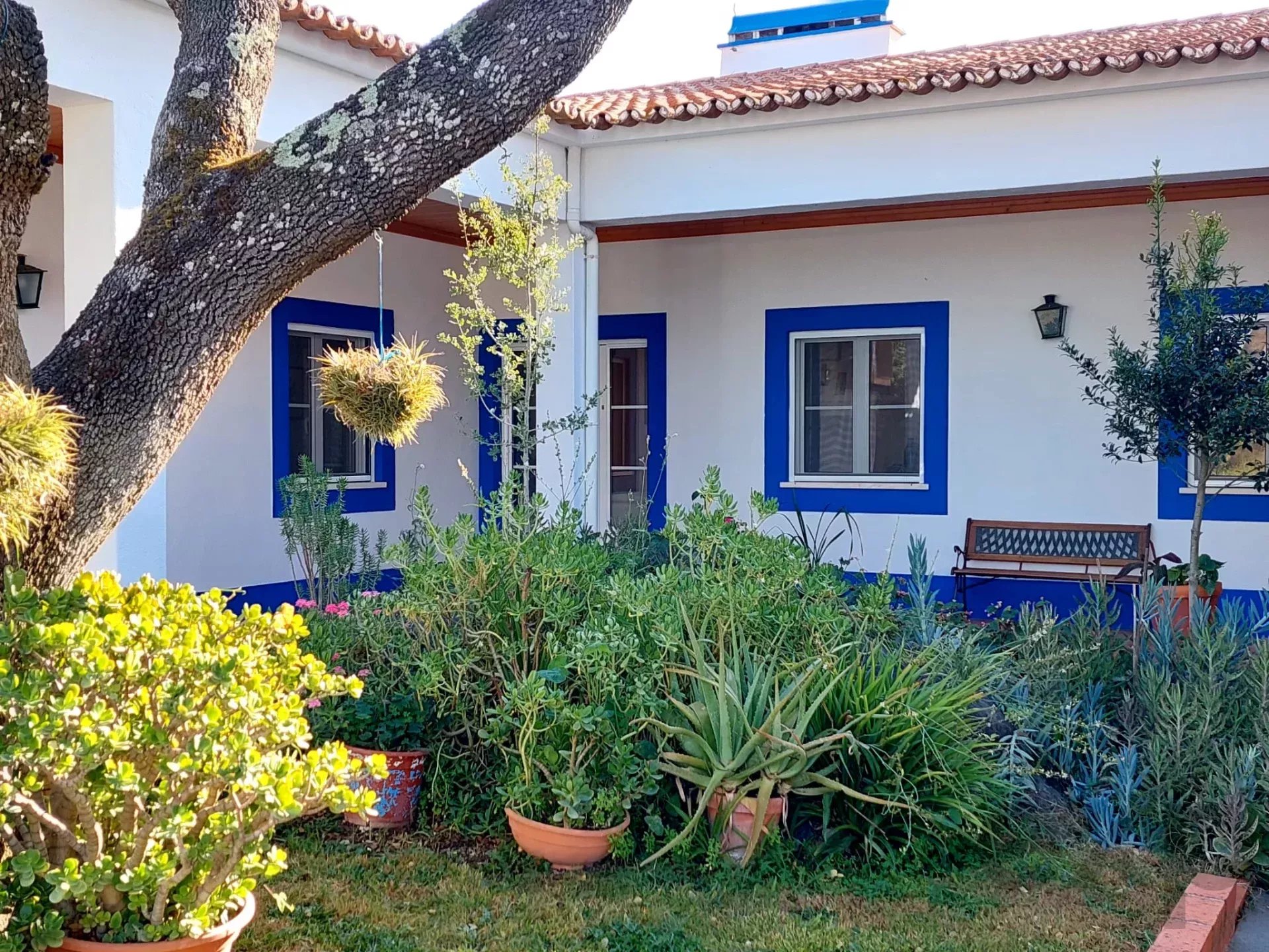 Charming Monte Alentejano and Wine Estate 86384492 image 30