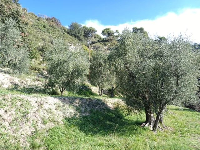 Agence immobilière de AZUR LOC INVEST