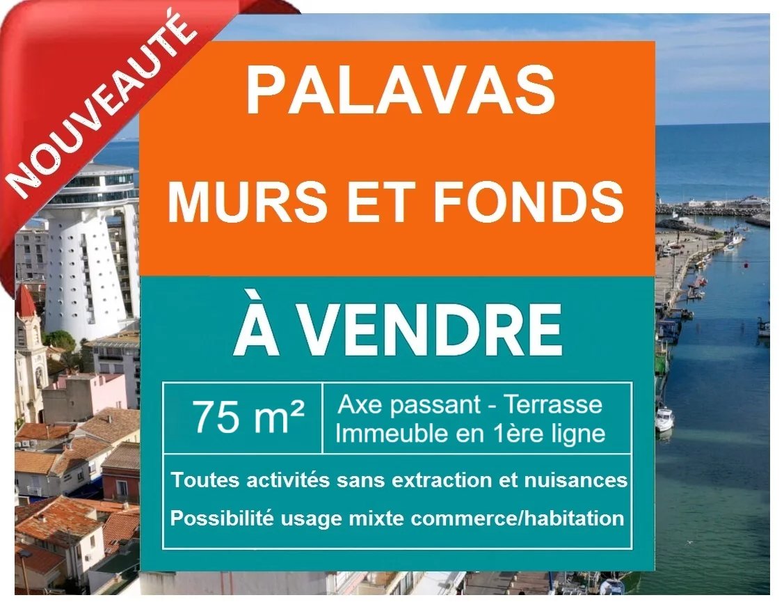 AXE PASSANT- IMMEUBLE EN 1ERE LIGNE - MURS ET FONDS COMMERCE