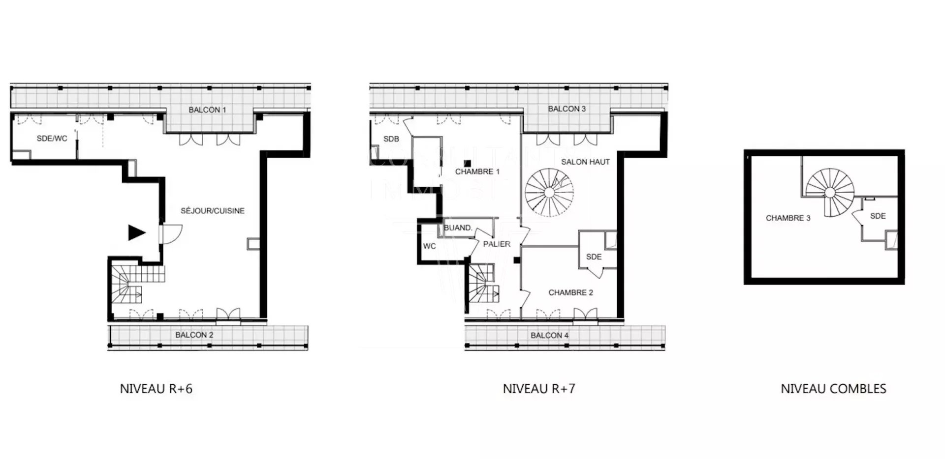 SUPERBE TRIPLEX DERNIERS ETAGES  ETAT NEUF LARGES BALCONS