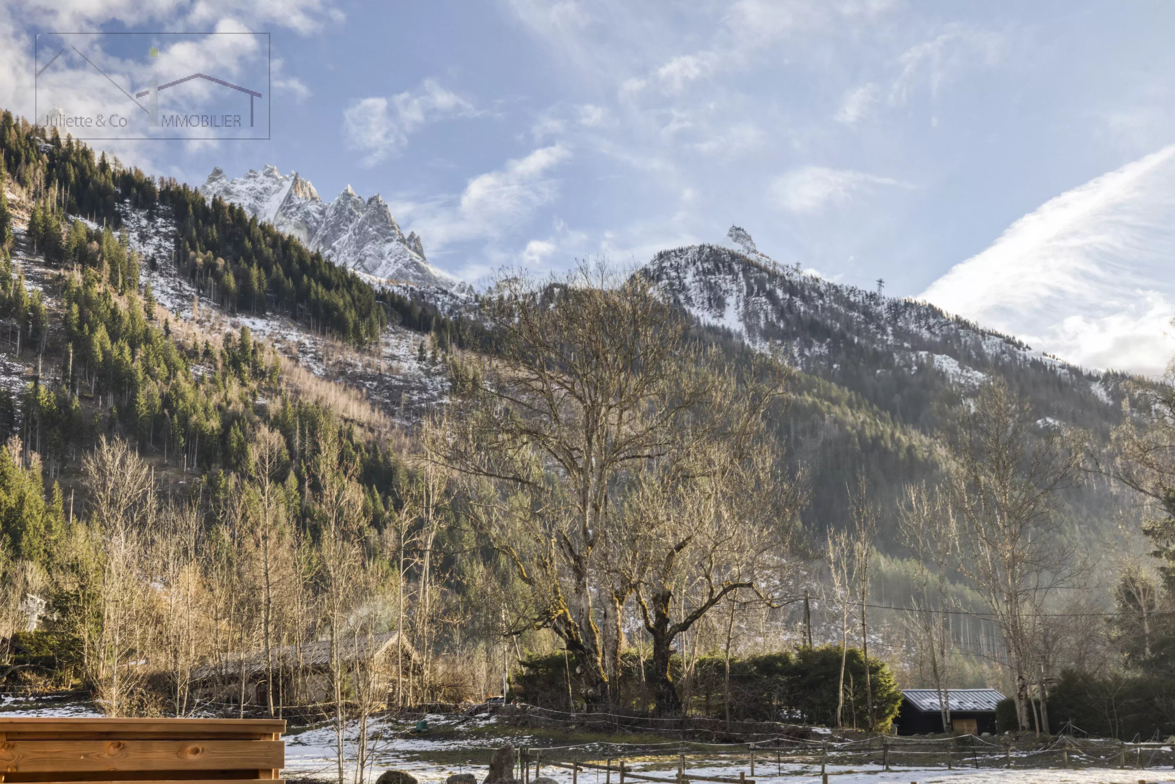 Photo of Semi-detached chalet for sale in Chamonix-Mont-Blanc