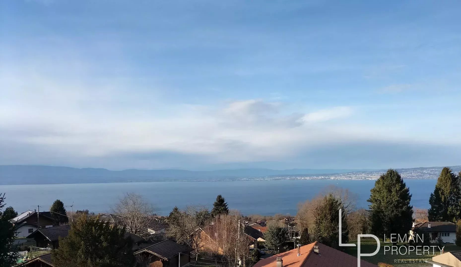 Neuvecelle, Magnifique villa récente avec vue panoramique sur le lac