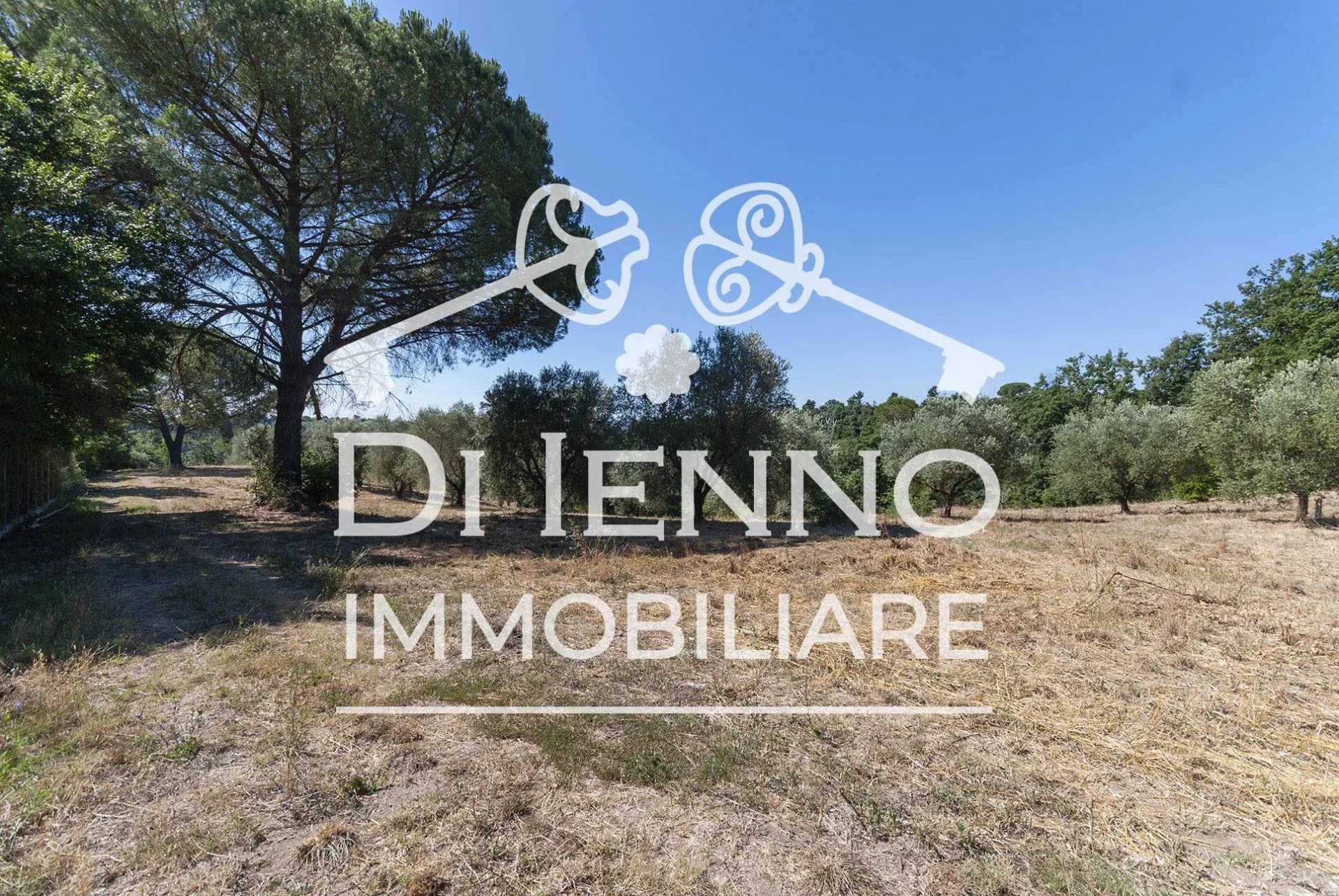 Sale Agricultural land Sacrofano