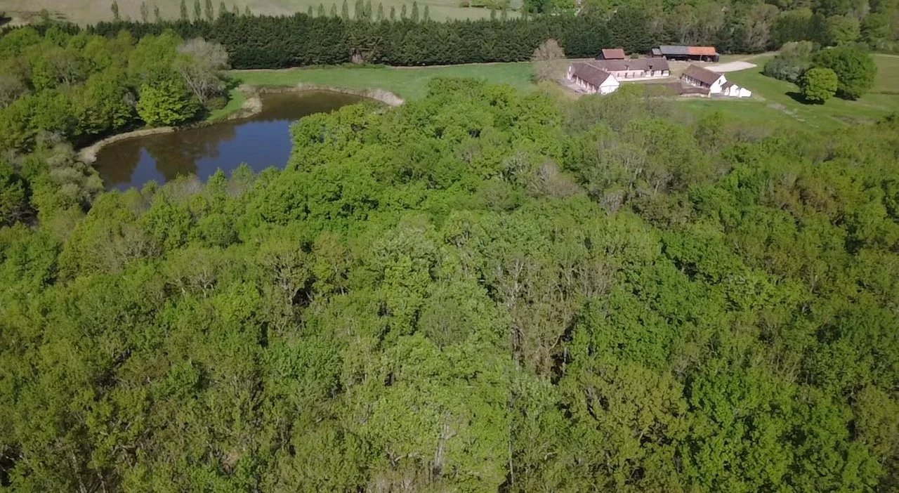 Propriété Chaumont-sur-Tharonne  -  ref 86886935 (picture 1)