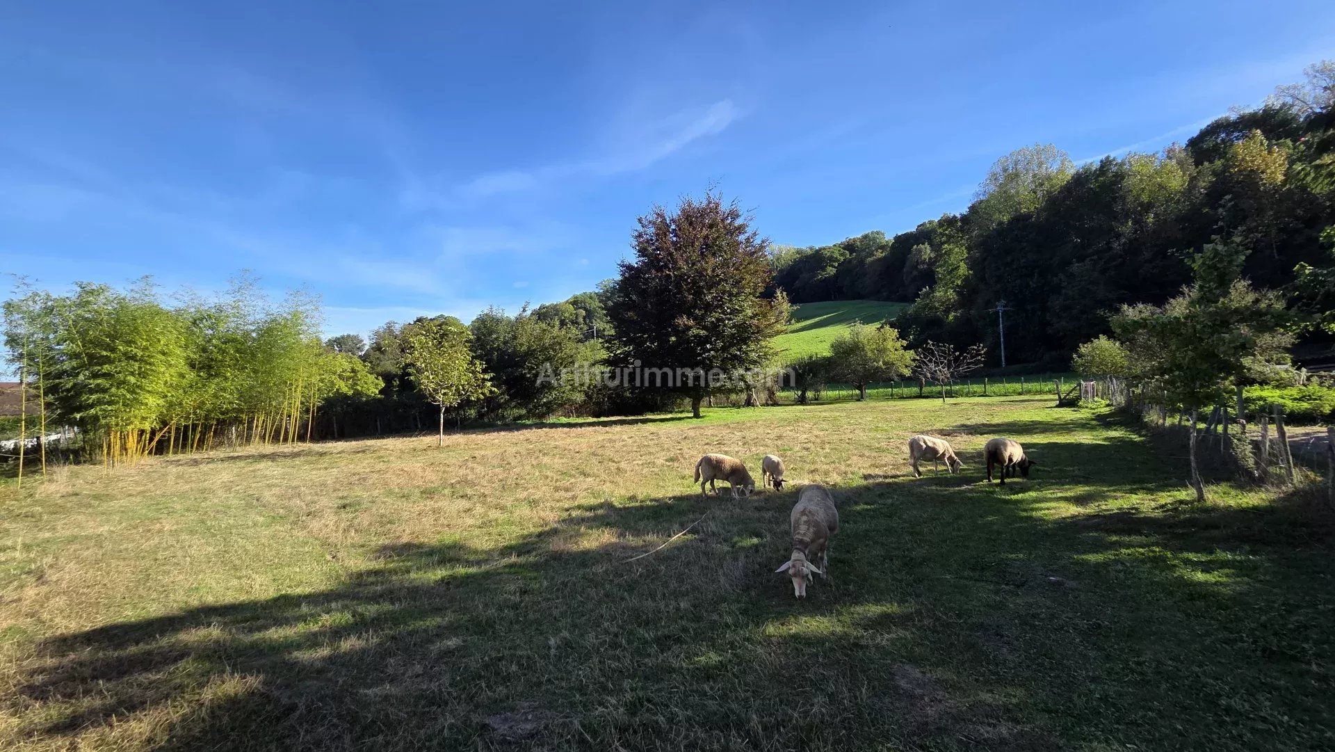 Agence immobilière de SARL AS IMMOBILIER