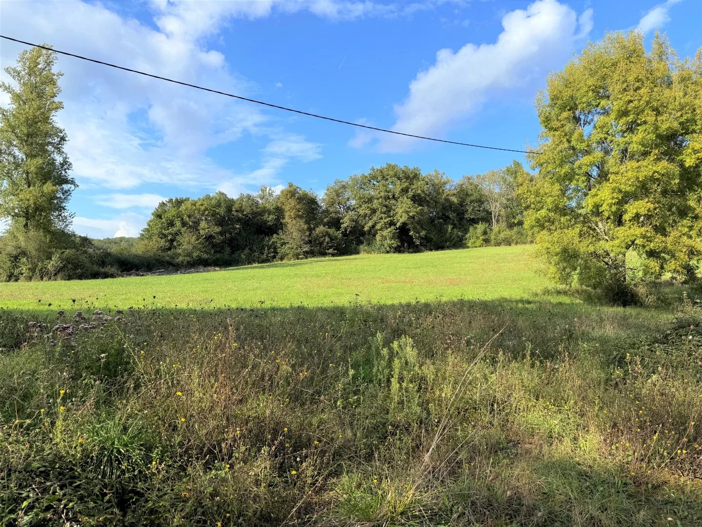 Agence immobilière de Charles Loftie Immobilier