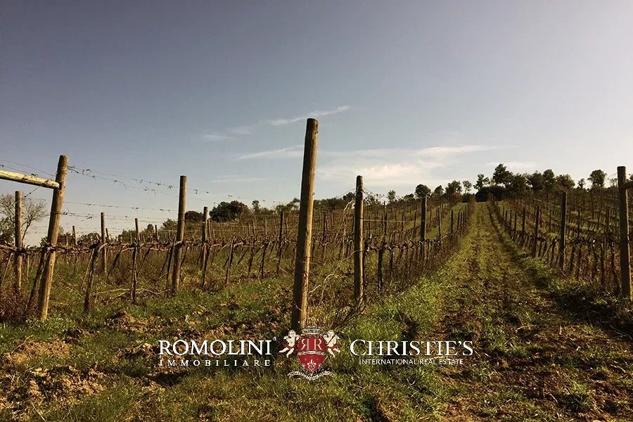8 Bedroom Vineyard's Image 29