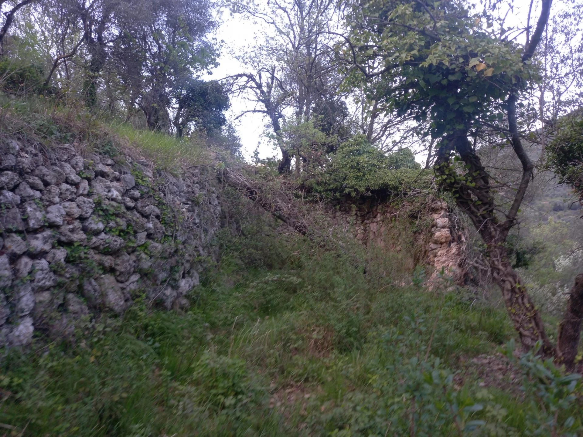 Vendita Terreno non edificabile Sospello