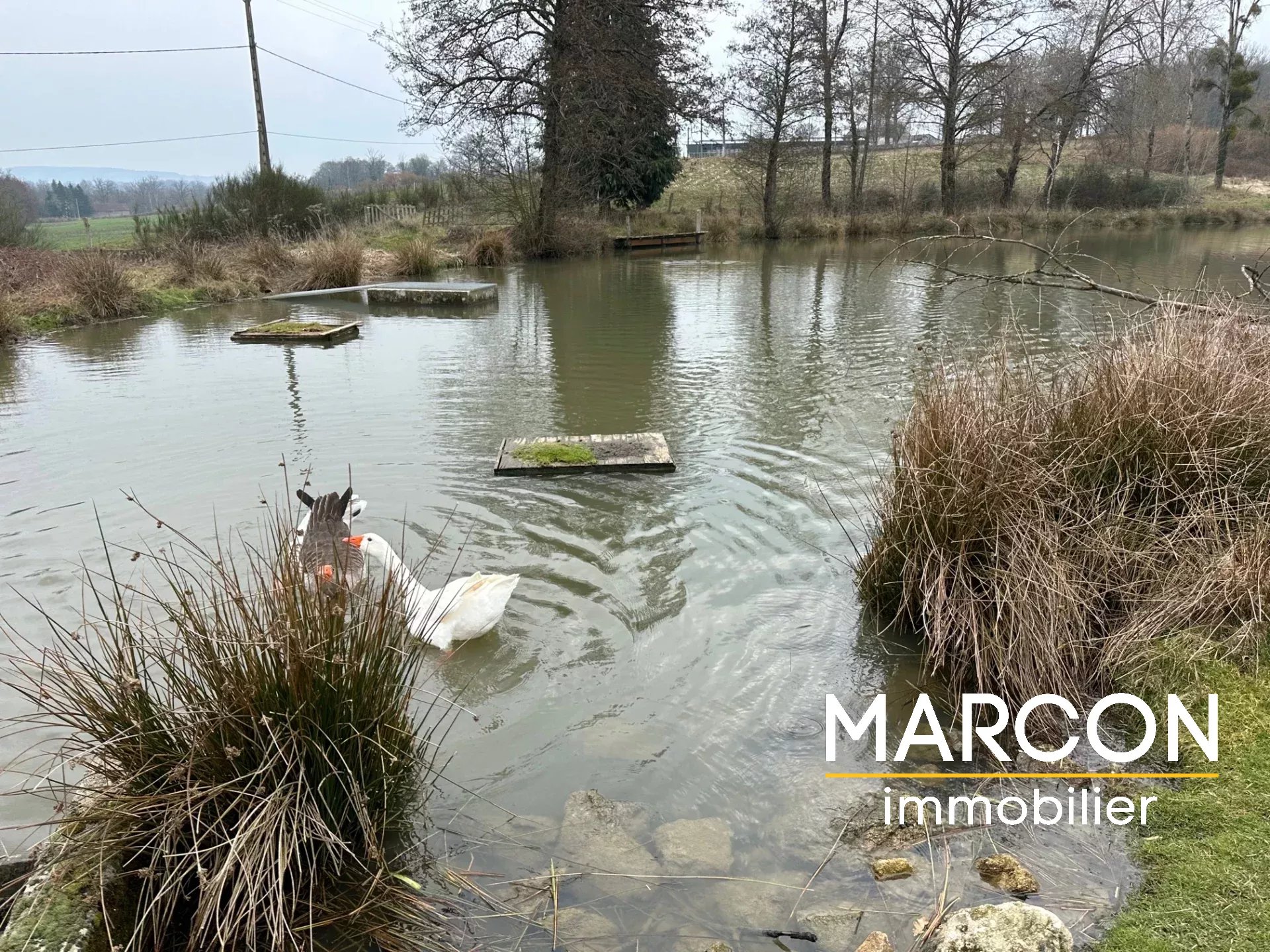 Agence immobilière de 