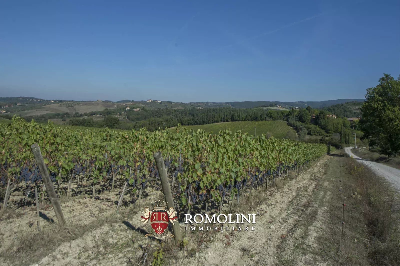 10 Bedroom Vineyard's Image 30
