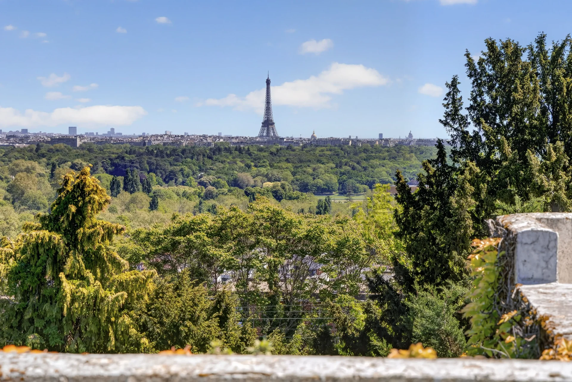 Suresnes - RAGUIDELLES