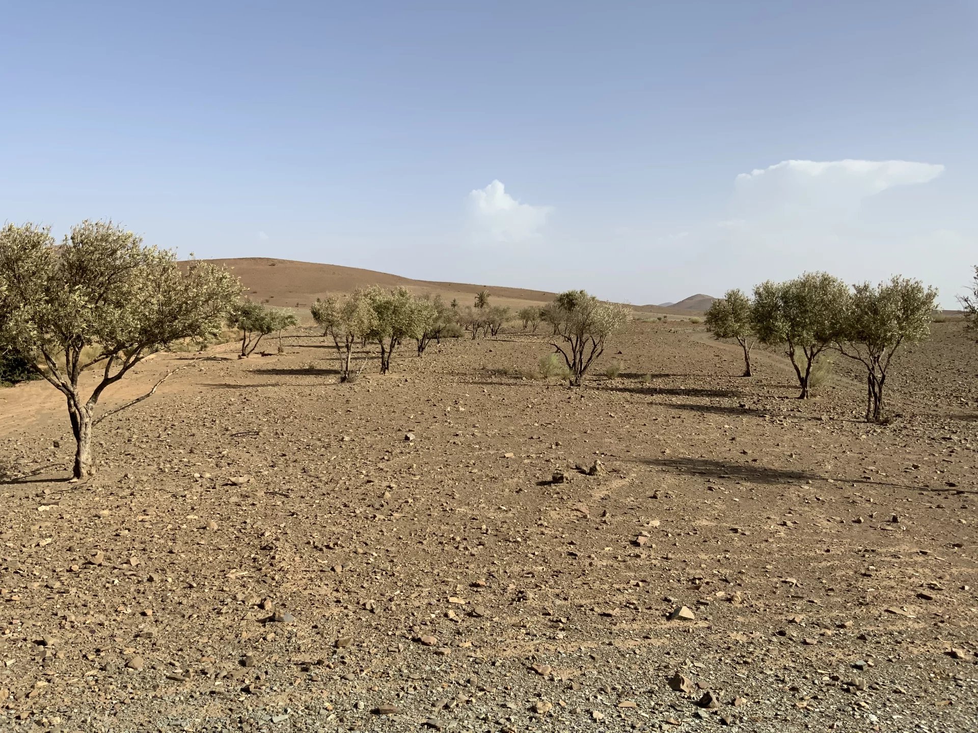 Sale Building land Marrakesh
