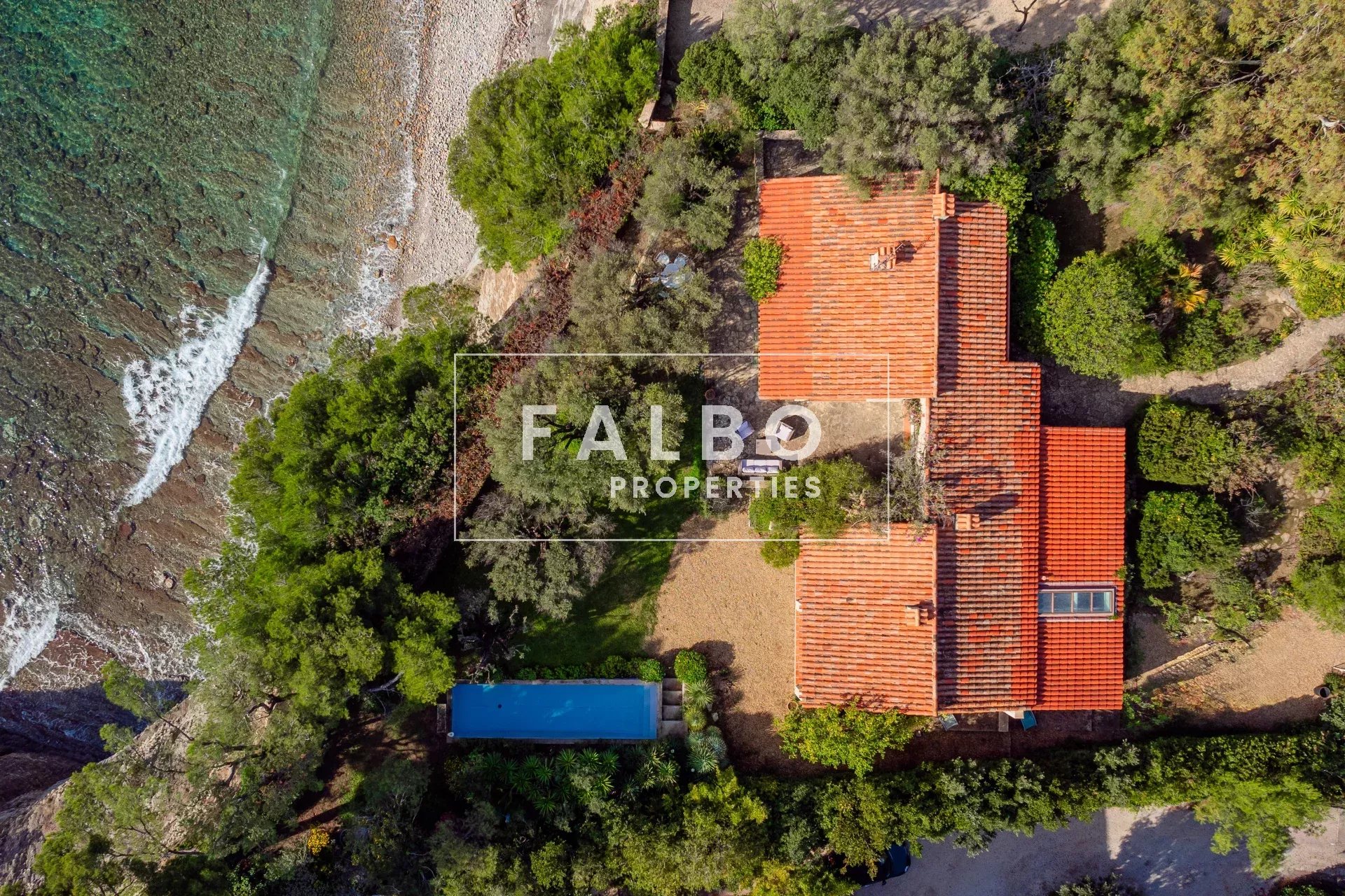 Agence immobilière de SASU Christophe Falbo