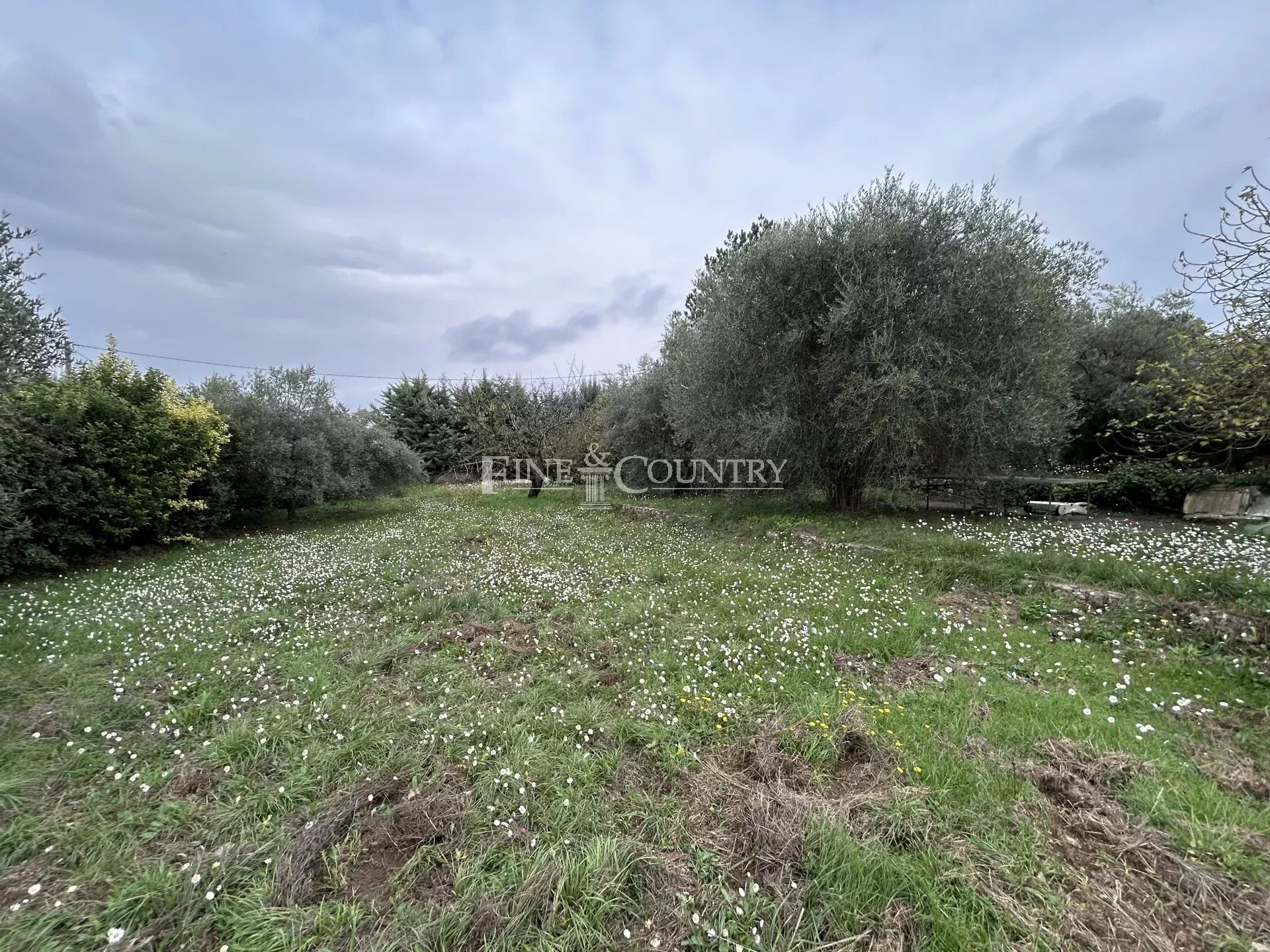 Photo of Building plot in Montauroux with planning permission cleared