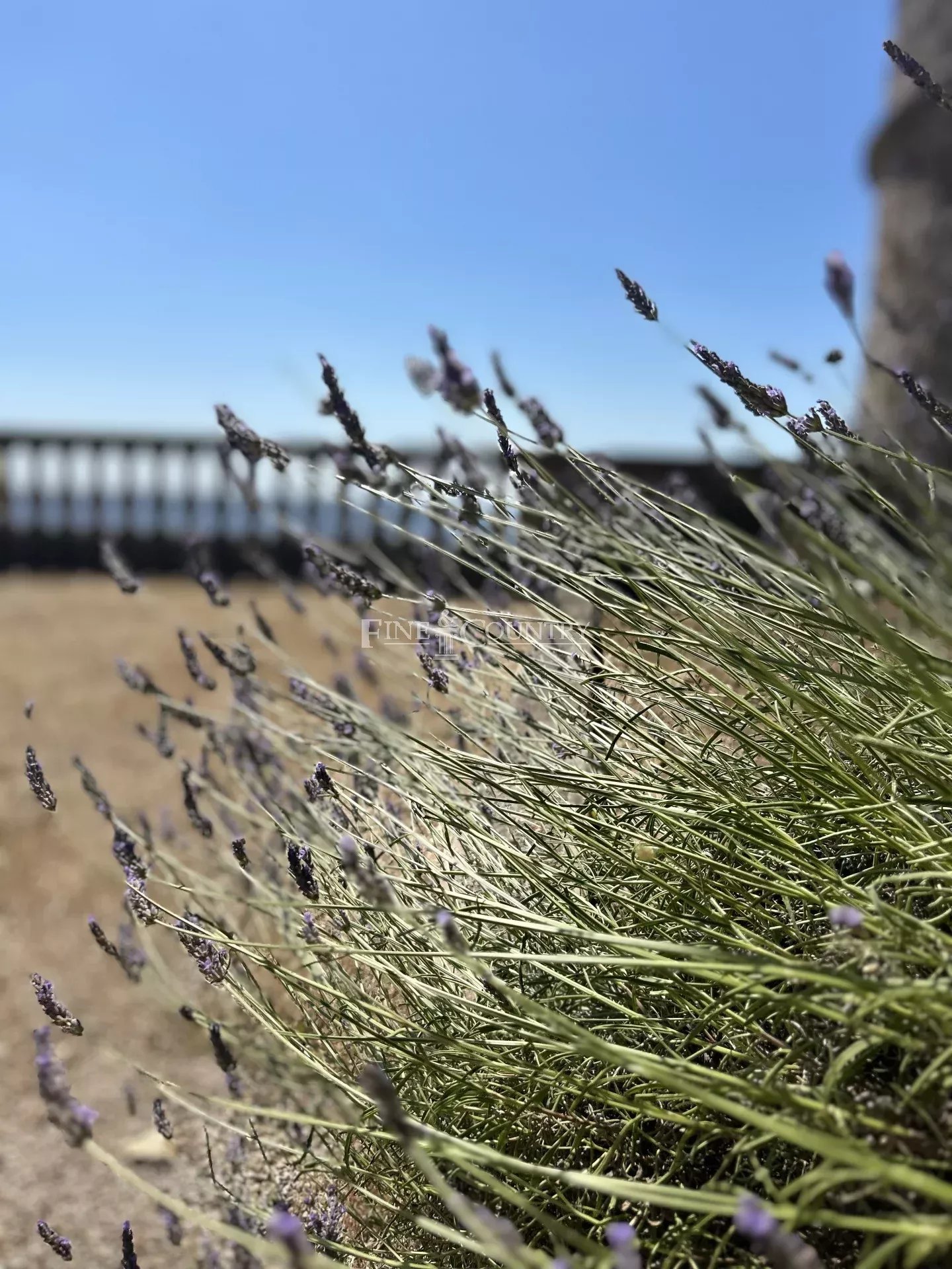 Photo of Estate for sale in Grasse