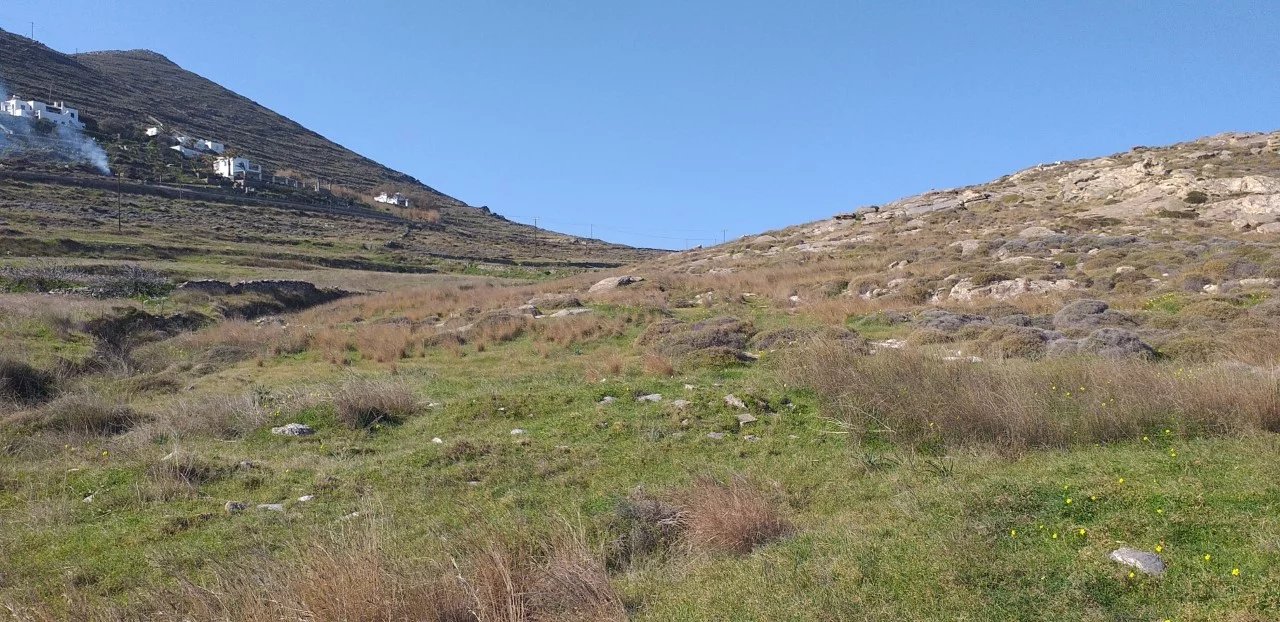 Image de la propriété 10