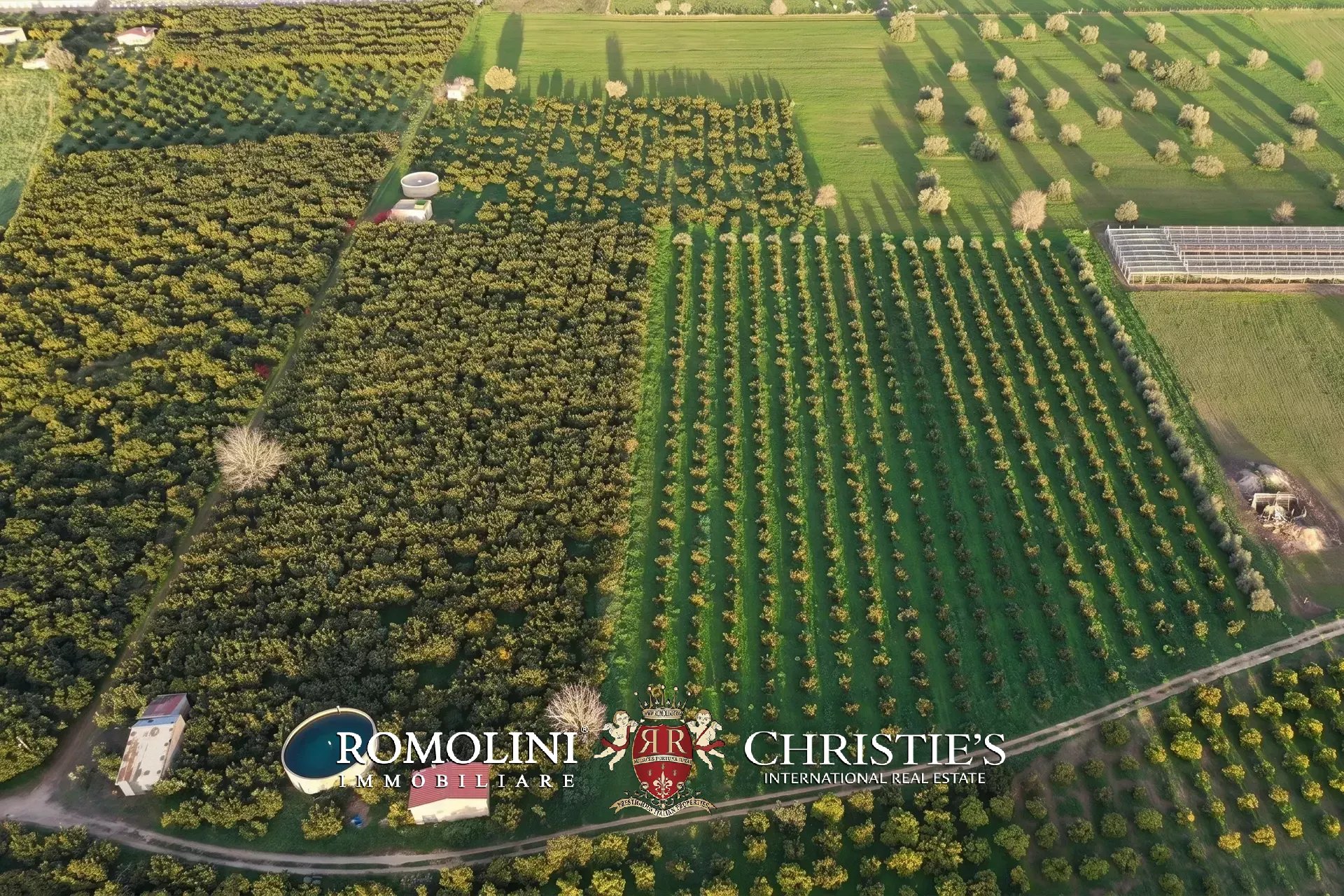 5 Bedroom Vineyard's Image 4