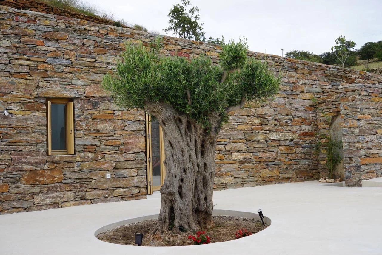 FOR SALE – Traditional Villa with Cave Guest Suite, Pool & Expansion Potential | Kea Island