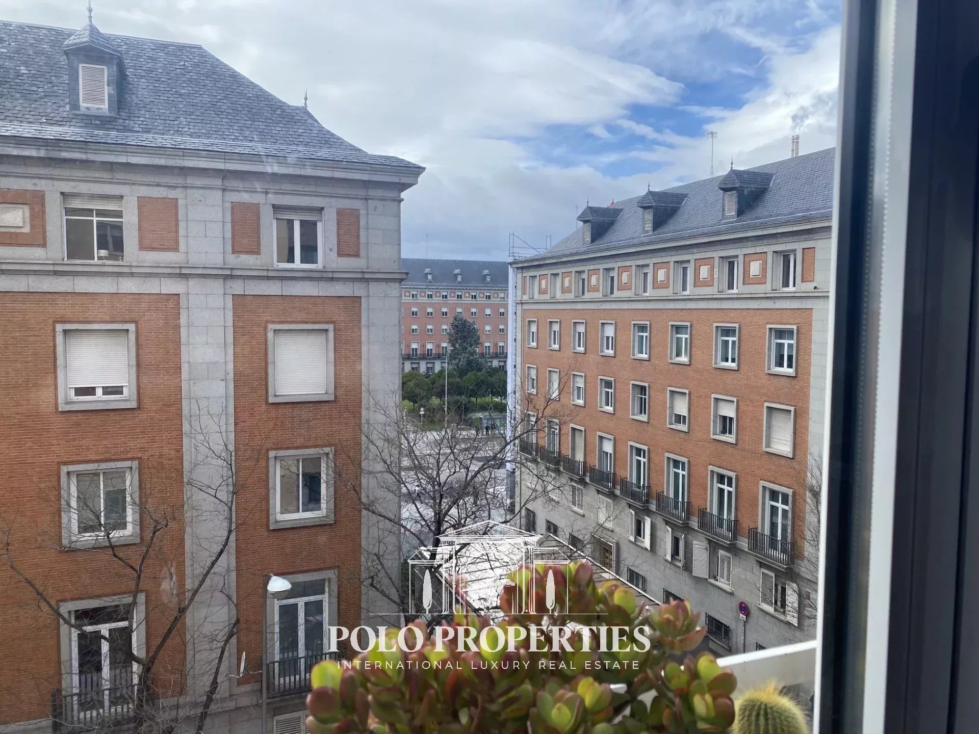 OPPORTUNITY IN MONCLOA