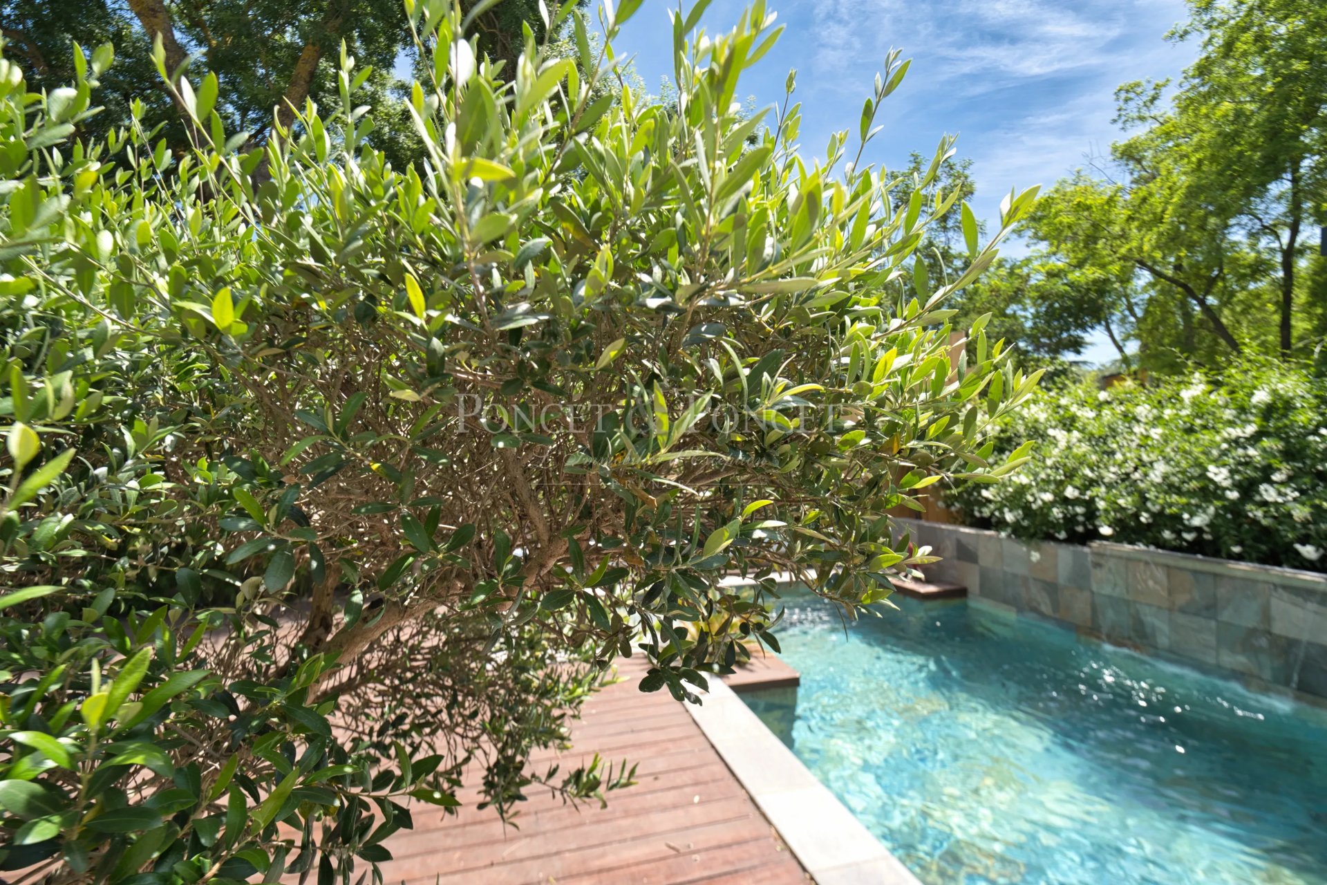 6 Bedroom Villa/Townhouse's Image 5