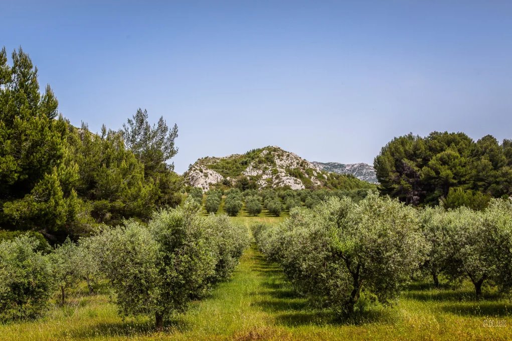 Agence immobilière de Hôtels Particuliers
