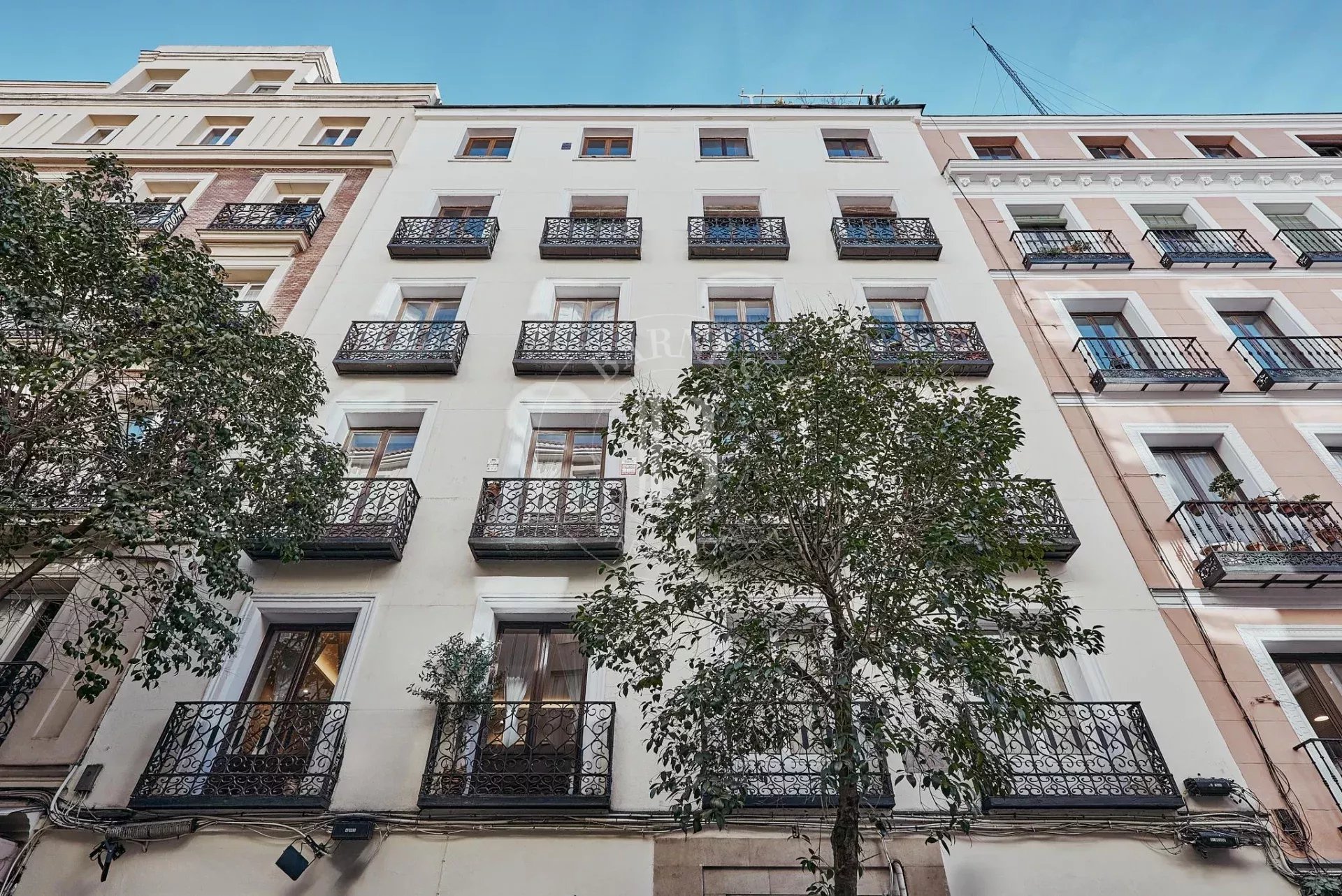 Daire Madrid - picture 30