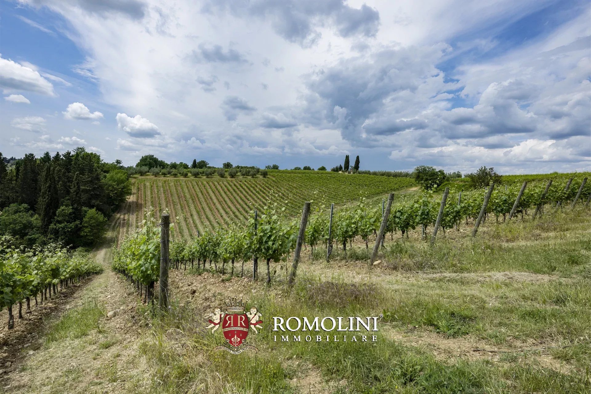 7 Bedroom Vineyard's Image 24