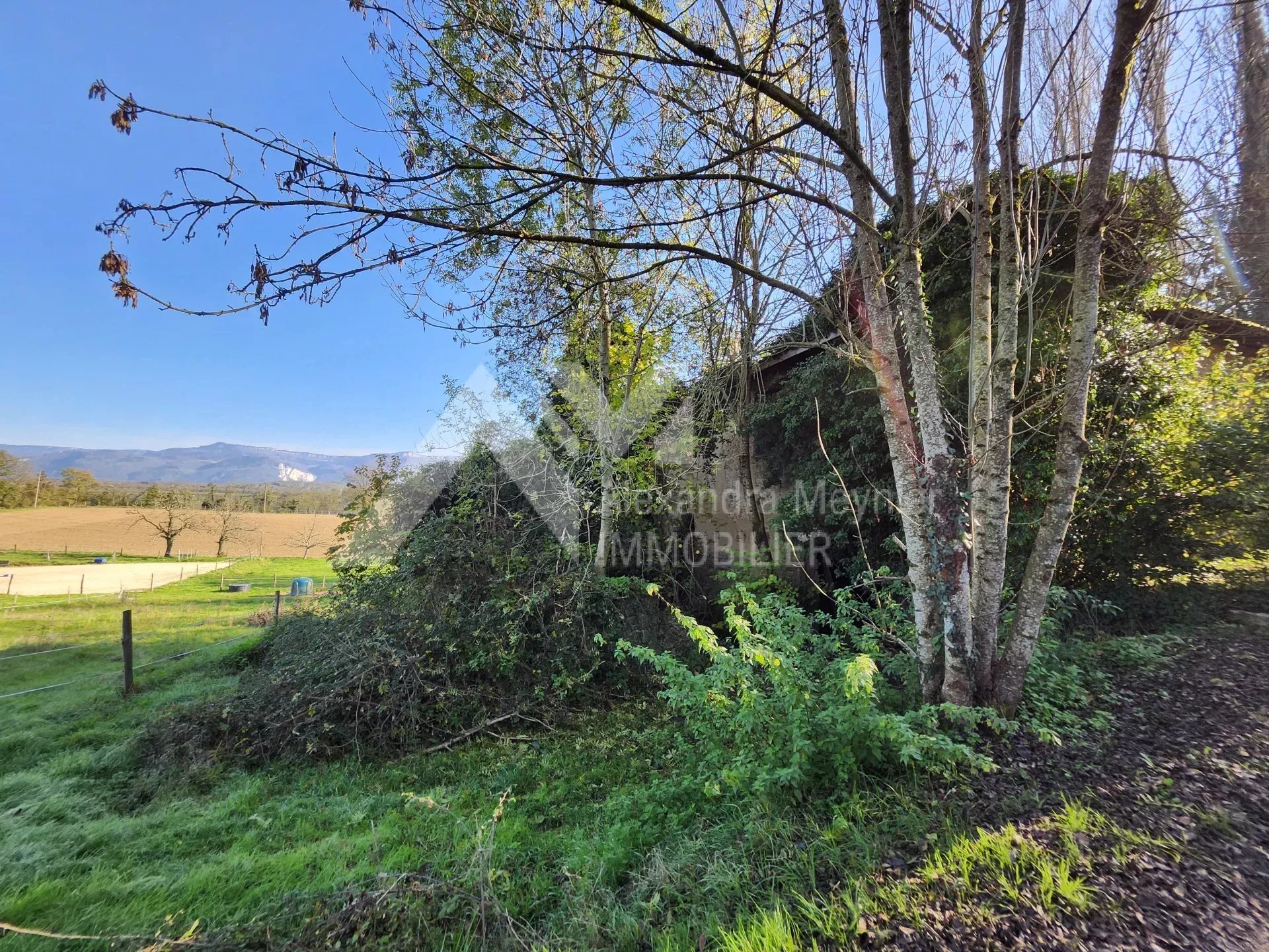 Agence immobilière de 