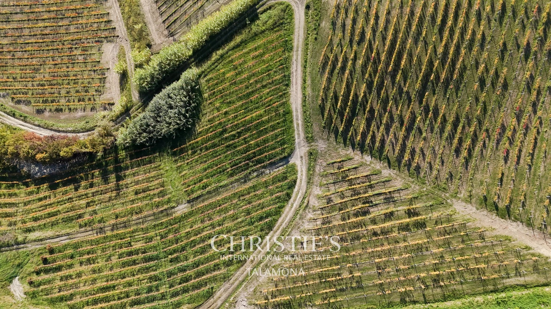 Farm/Ranch/Plantation's Image 8