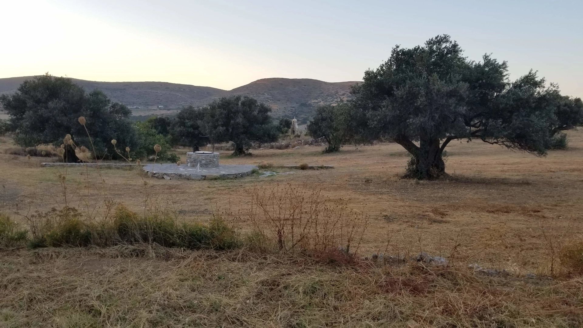 Image de la propriété 18