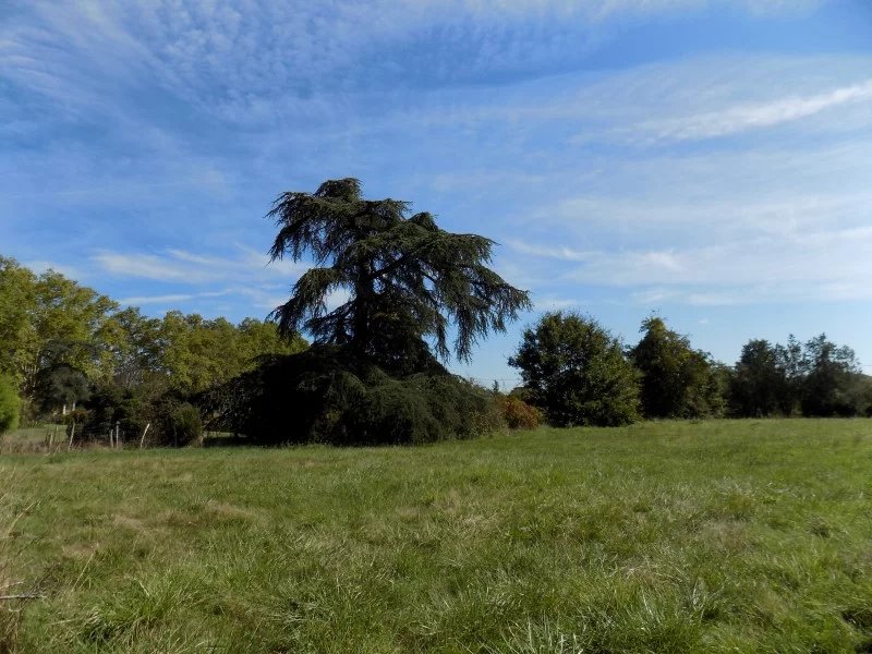 Vente Terrain constructible L'Isle-de-Noé