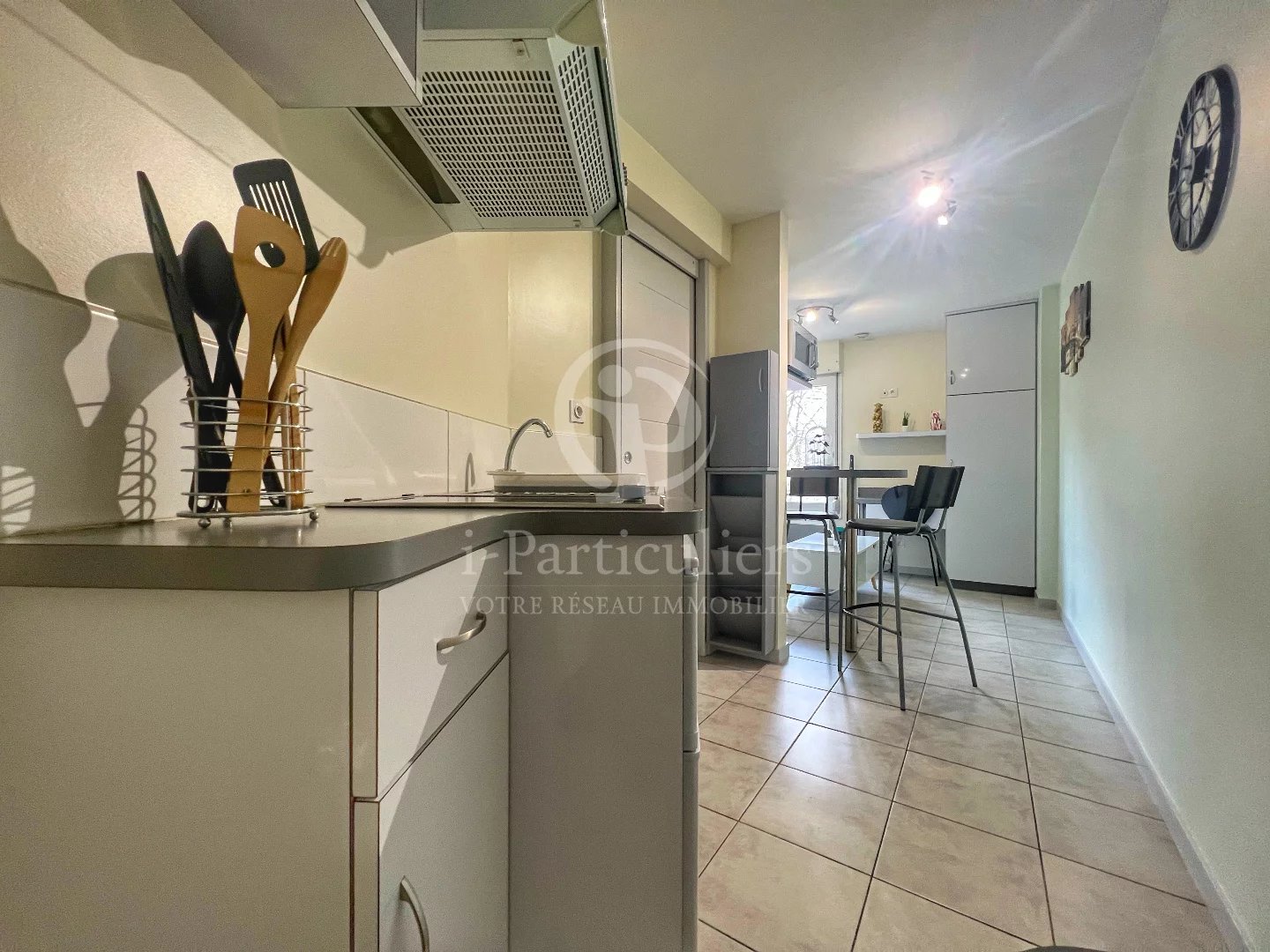 APPARTEMENT TYPE STUDIO GARE DE GRENOBLE