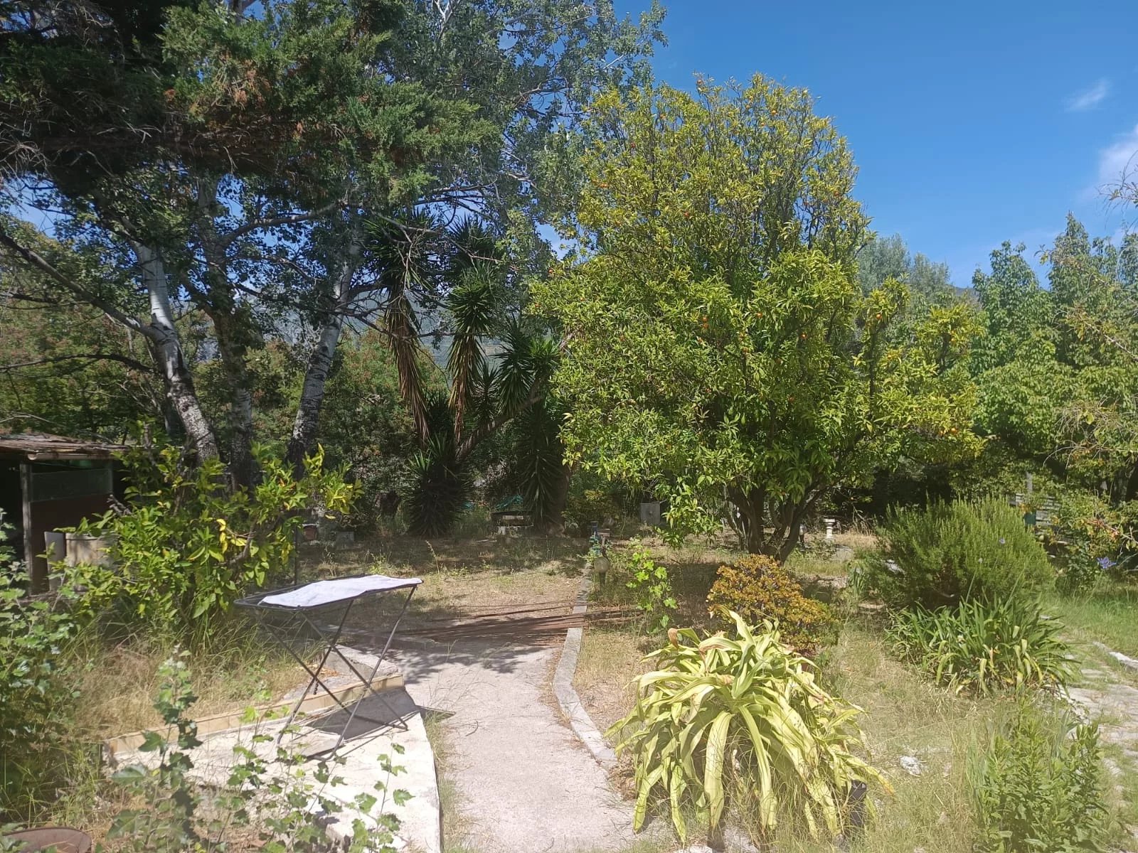 Saint-Agnès – Maison avec vaste terrain constructible, vue panoramique et fort potentiel — photo 17