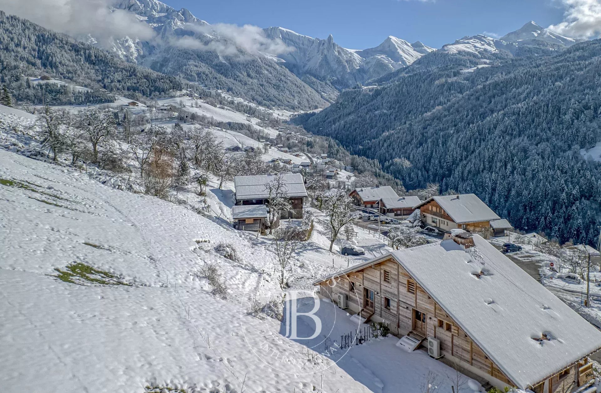 Chalet Manigod  -  ref 86338476 (picture 1)