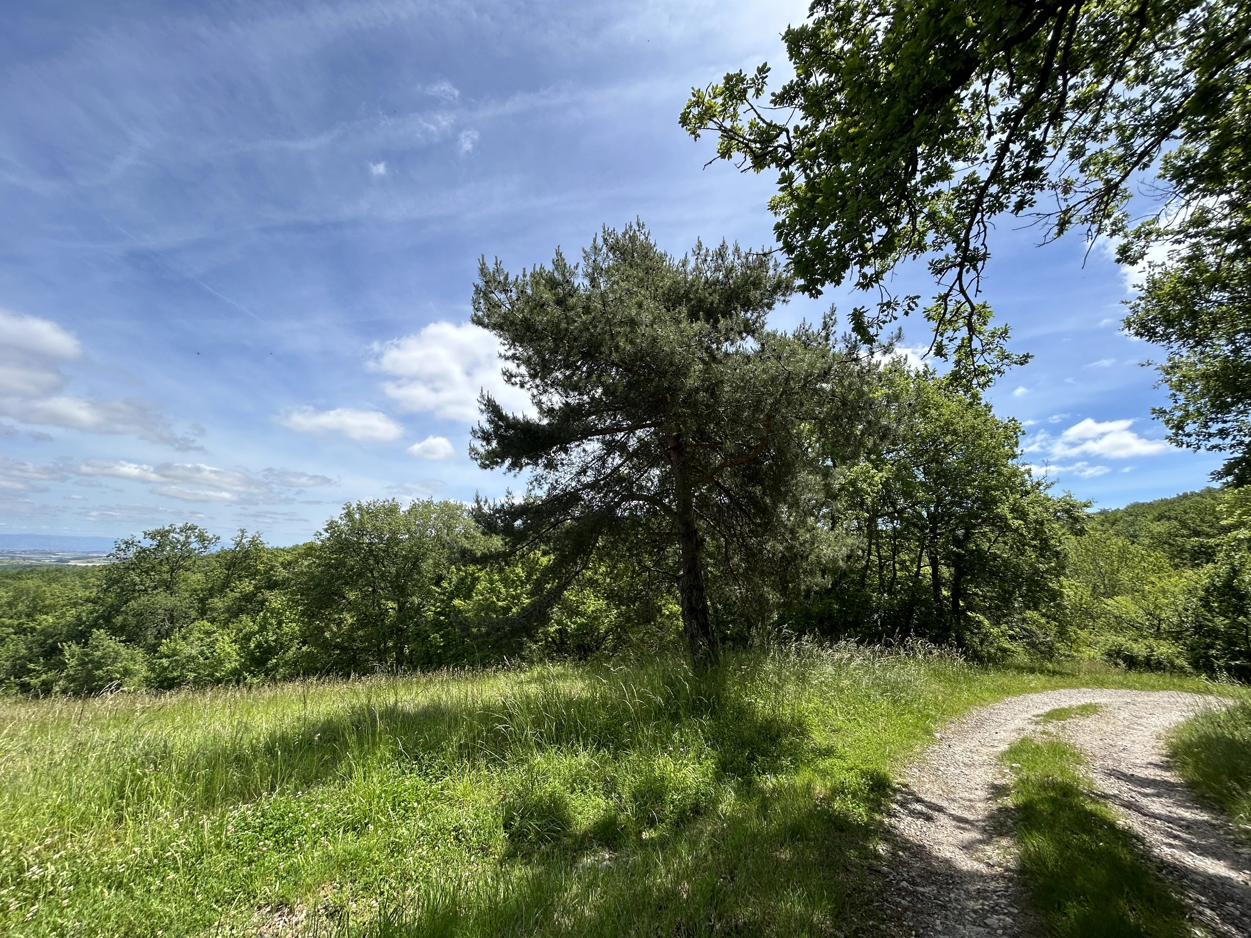 Maison à vendre Belvèze-du-Razès, Aude