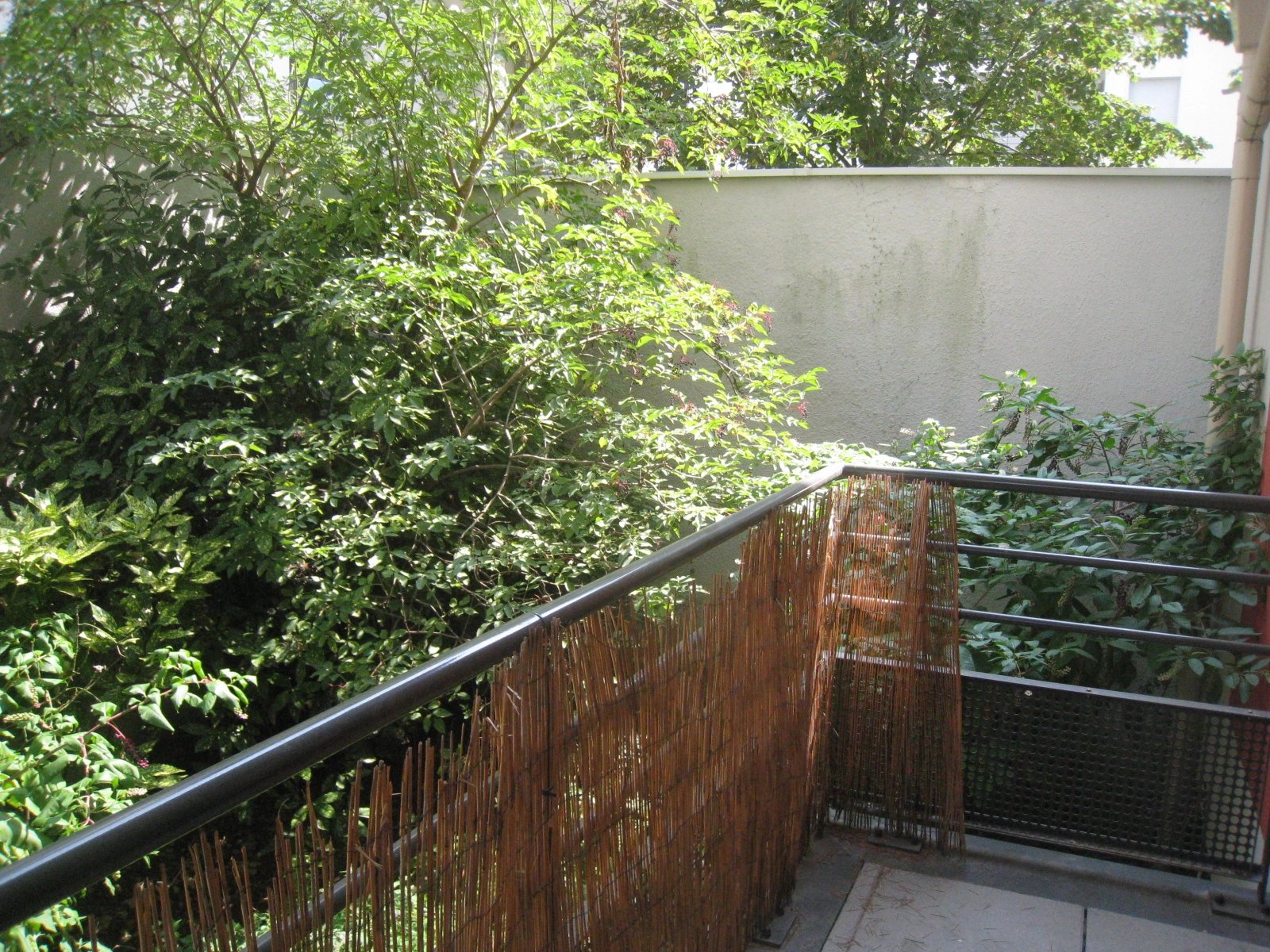 525145 Location Villeurbanne