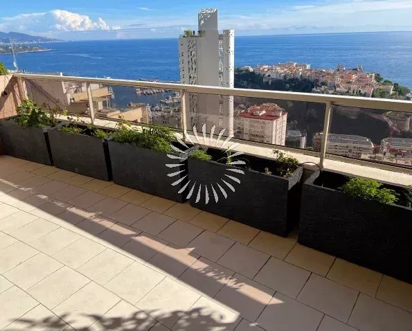 Patio Palace - Jardin Exotique