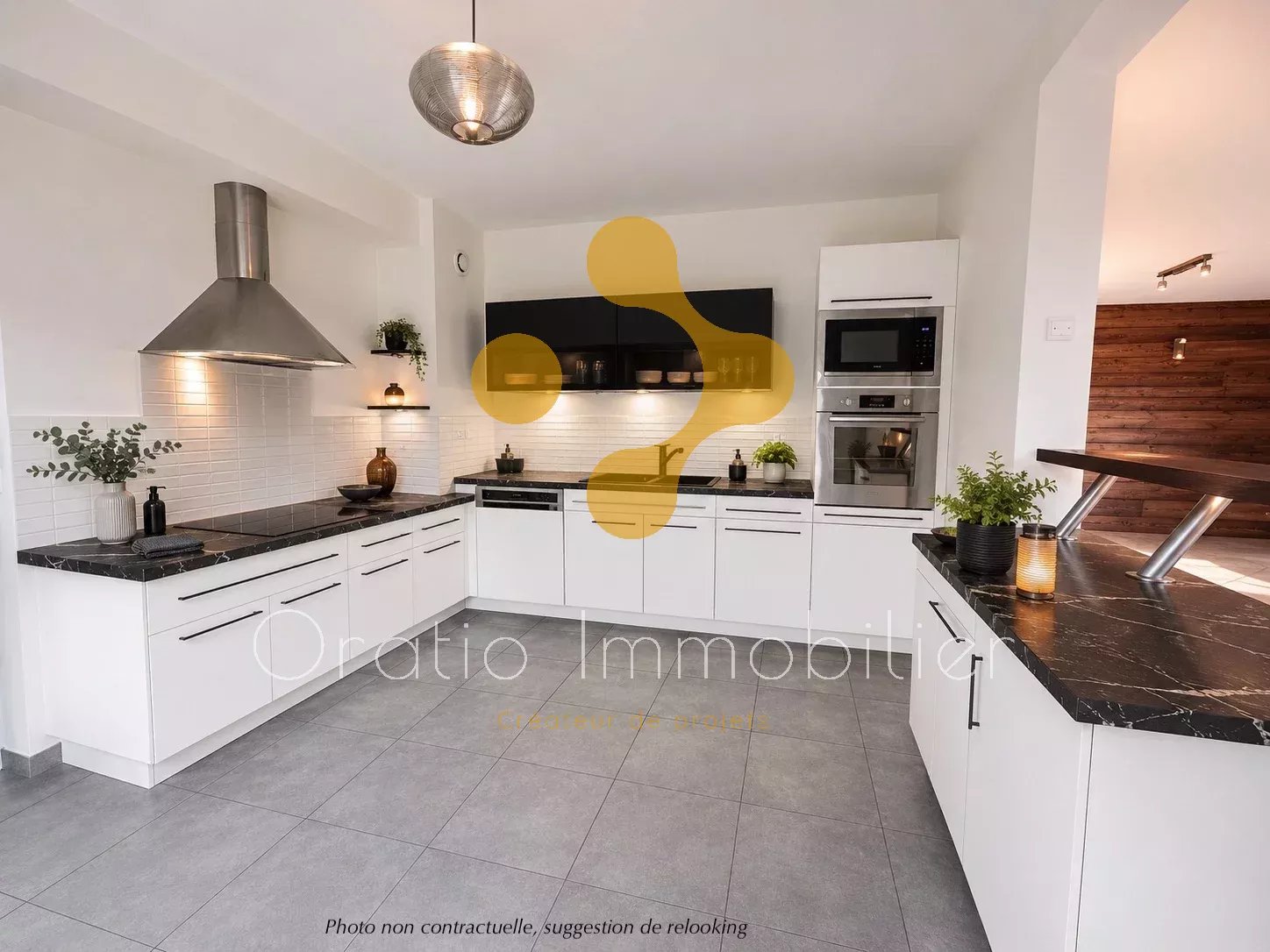 Vente Maison La Balme-de-Sillingy