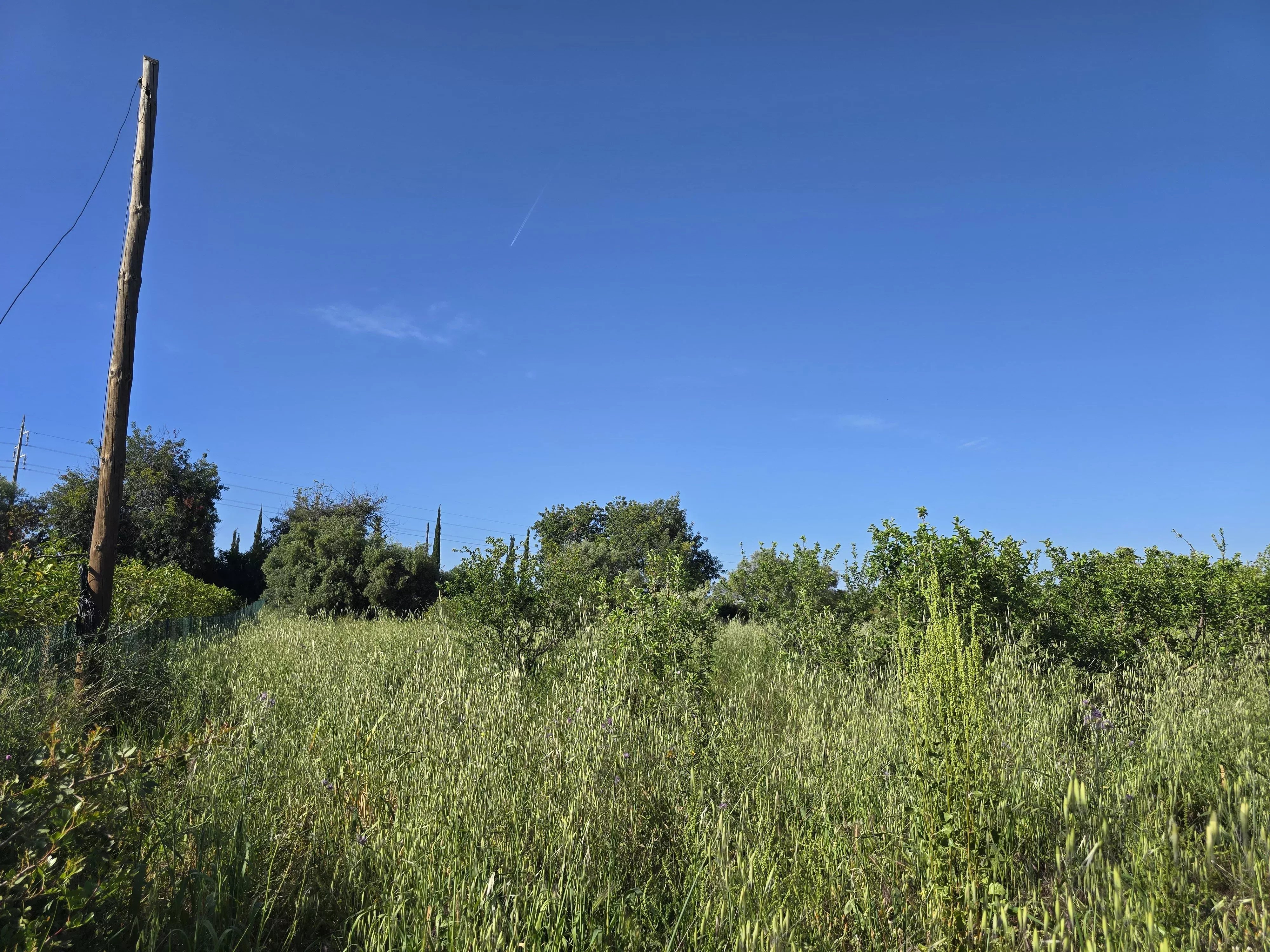 6 room Farmhouse with 1.5 hectares of land and sea view 86949039 image 40