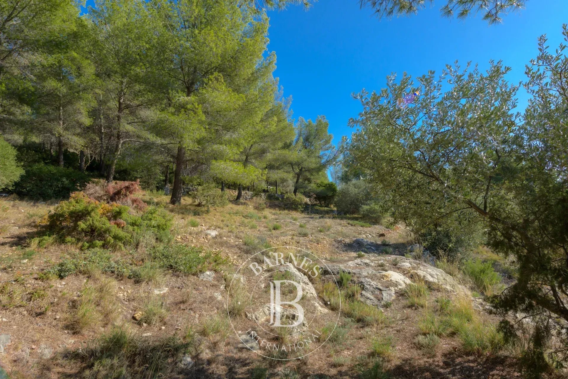 Ev Sanary-sur-Mer - picture 36