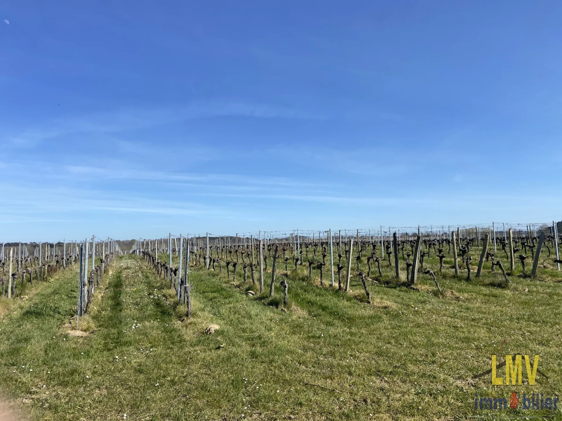  Parcelles de vignes en AOC LUSSAC ST EMILION .