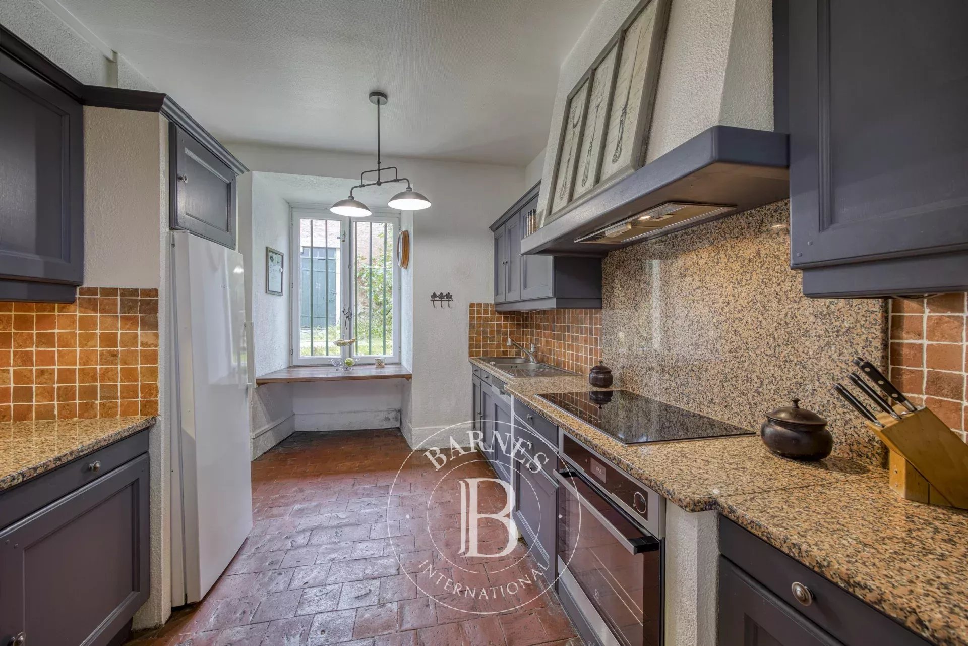 Ev Ornex - picture 10