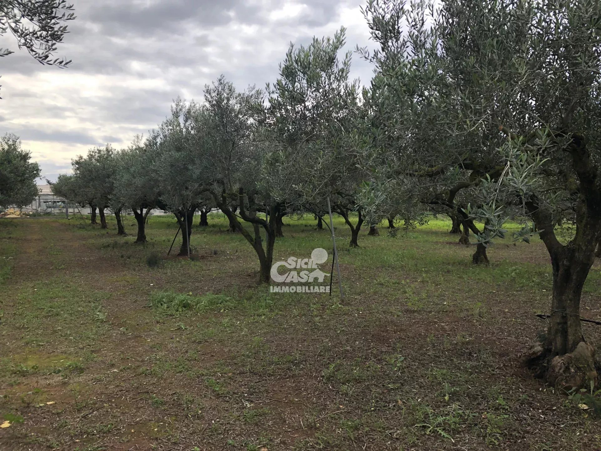 Sale Building land Marsala Periferia Nord