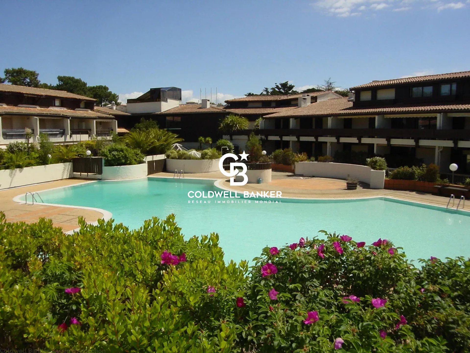 Agence immobilière de Silver Coast Int. Realty