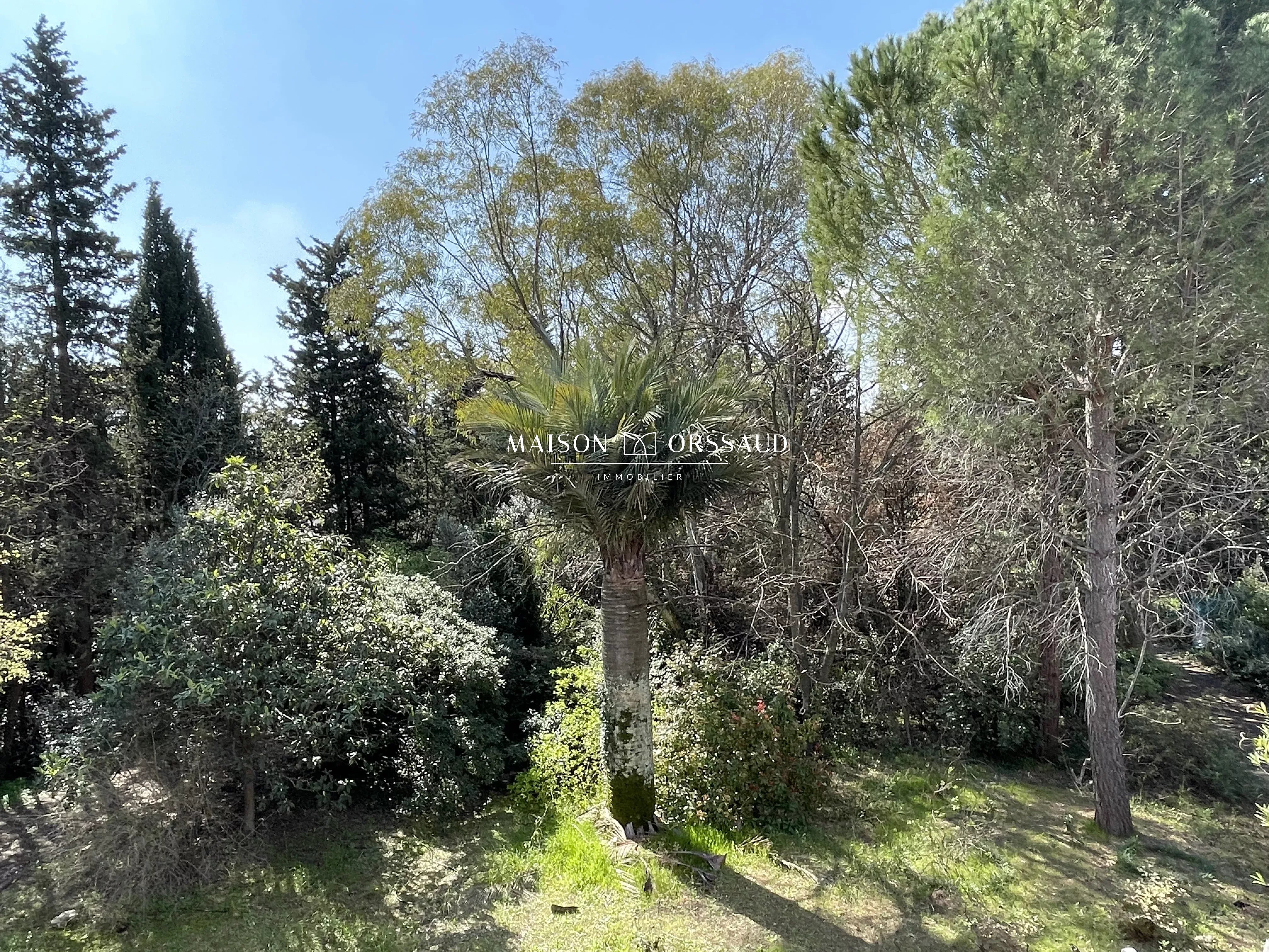 Agence immobilière de MAISON ORSSAUD